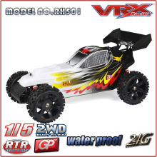 2016 Hot sale 2WD Nitro Buggy, factory fully assembled RTR rc toy car from China